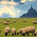 Timeo Mont Saint-michel * Pontorson