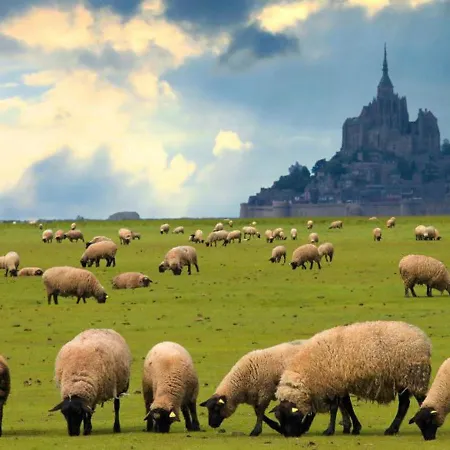 Timeo Mont Saint-michel * ポントルソン
