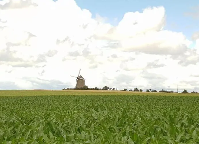 Timeo Mont Saint-michel *