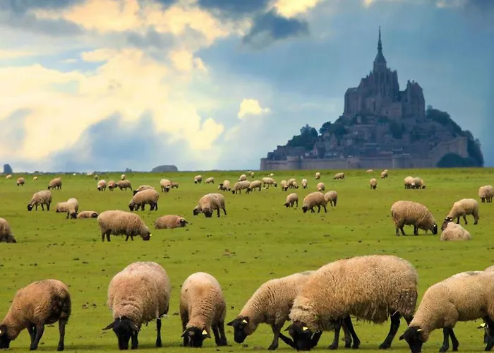 Timeo Mont Saint-michel * Pontorson