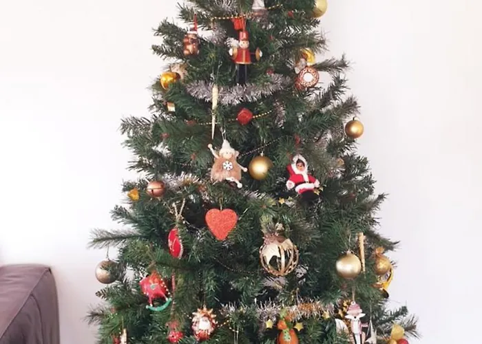 Holiday home Timeo Mont Saint-michel *